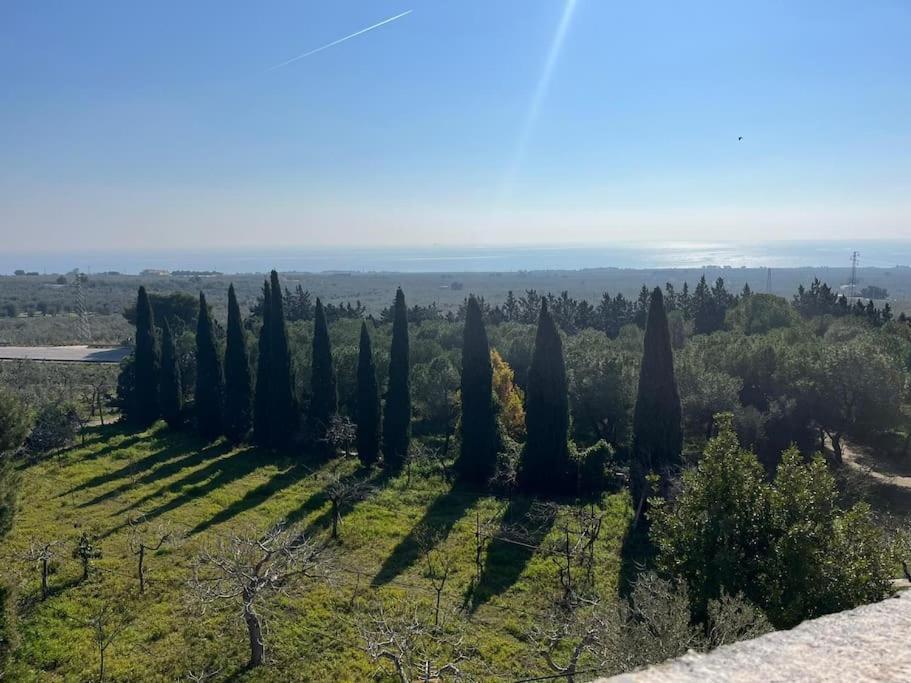 Casa Masseria Dell'800 Gargano. Le Mignole Monte SantʼAngelo Kültér fotó