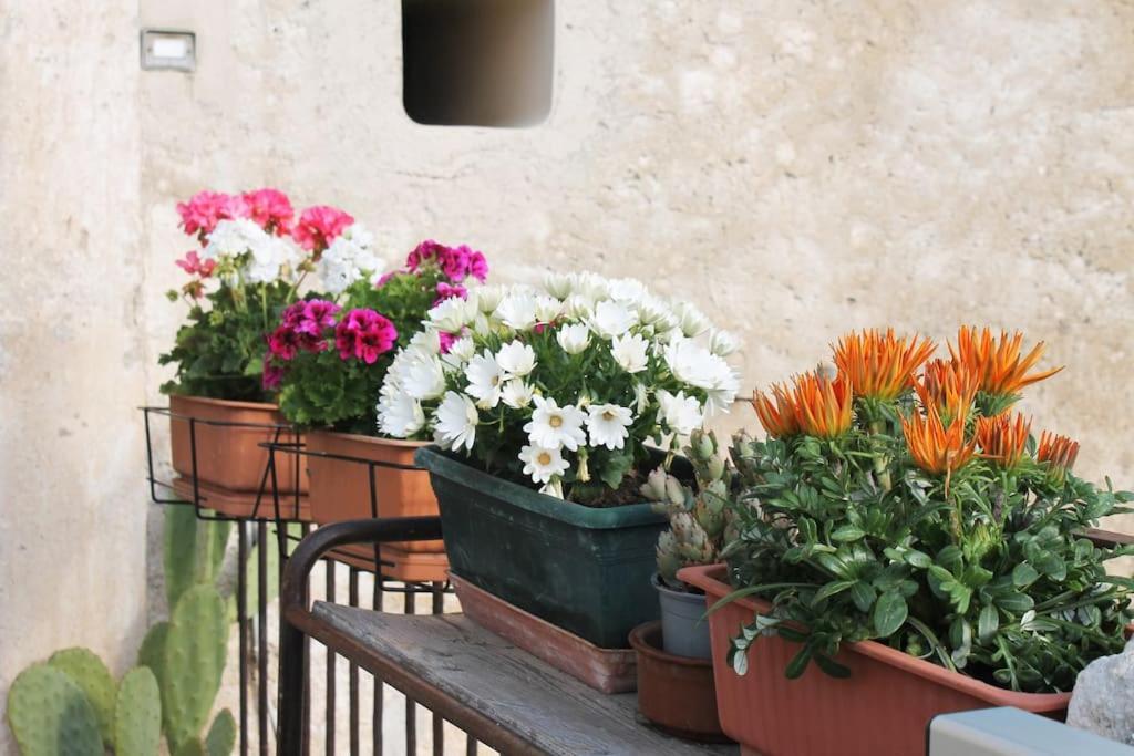 Casa Masseria Dell'800 Gargano. Le Mignole Monte SantʼAngelo Kültér fotó