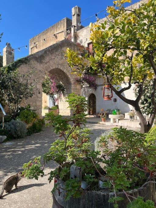 Casa Masseria Dell'800 Gargano. Le Mignole Monte SantʼAngelo Kültér fotó